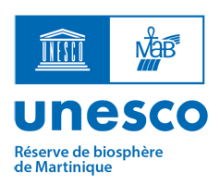 Logo Unesco BMA